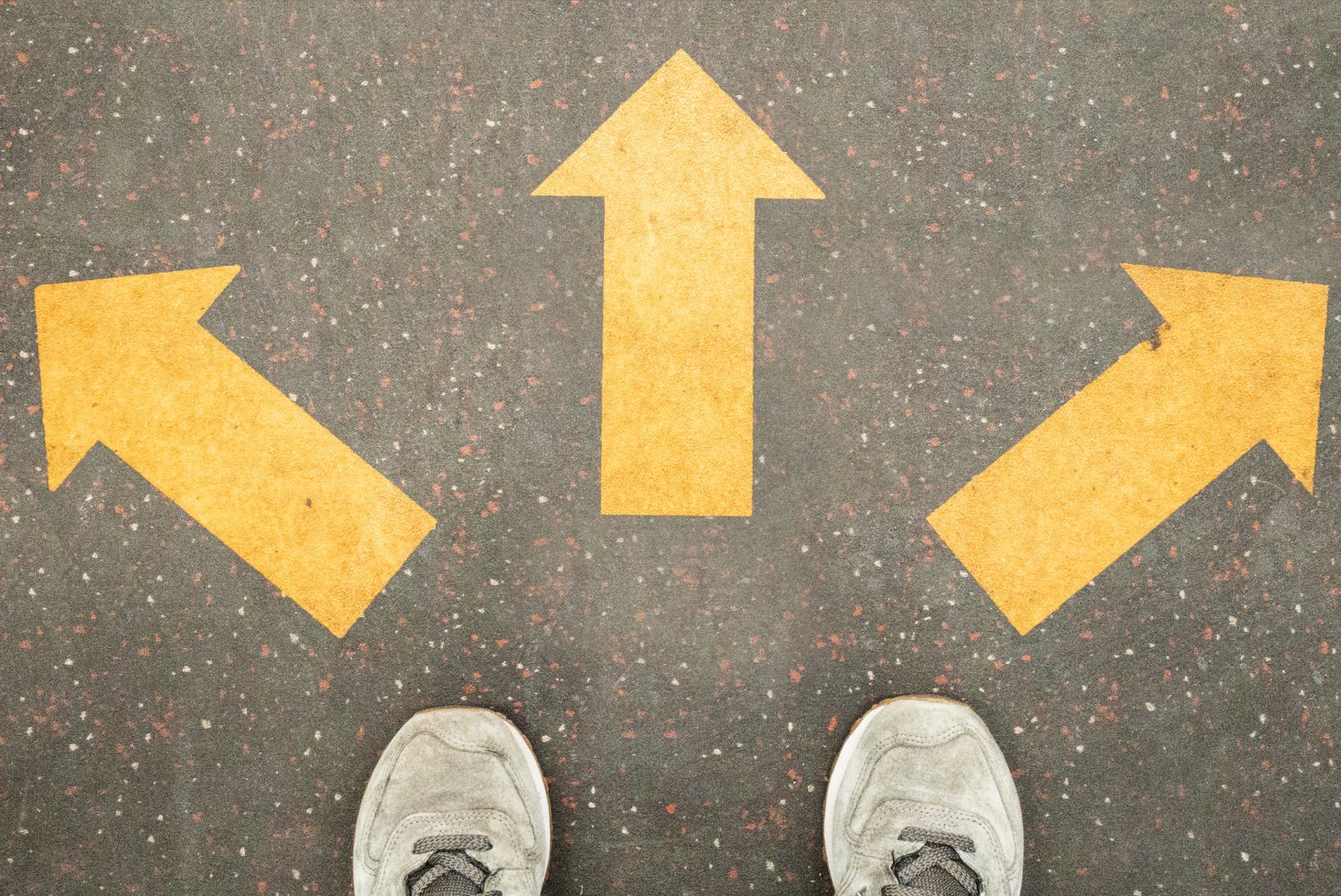 self directed self directed